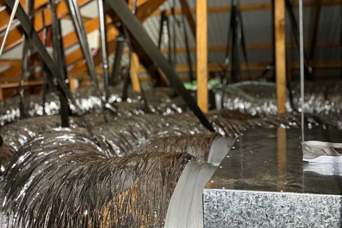Insulated ductwork and a plenum in a roof space